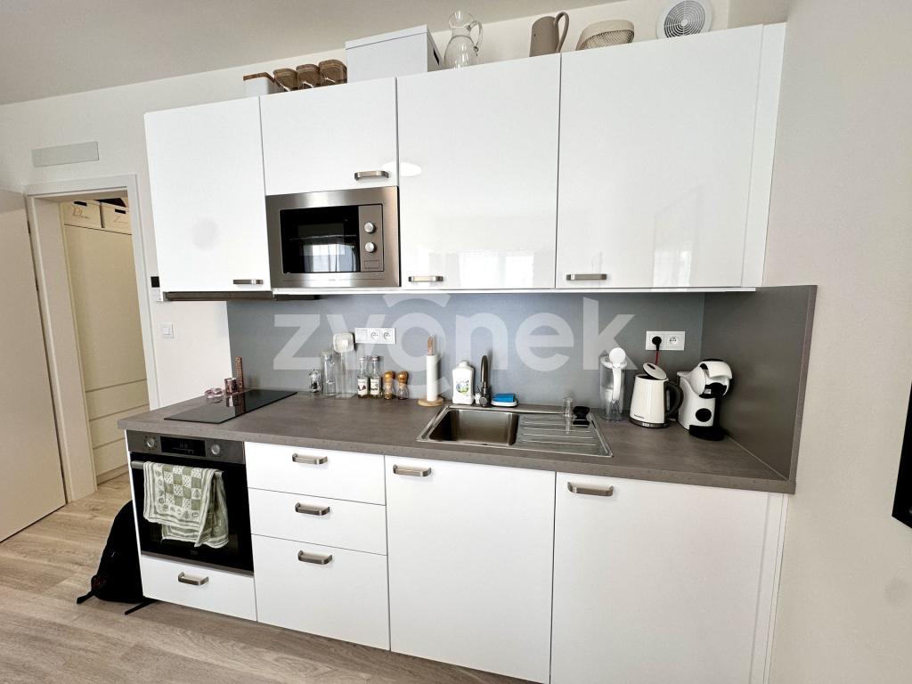 Pronájem bytu 1+kk 33 m2
