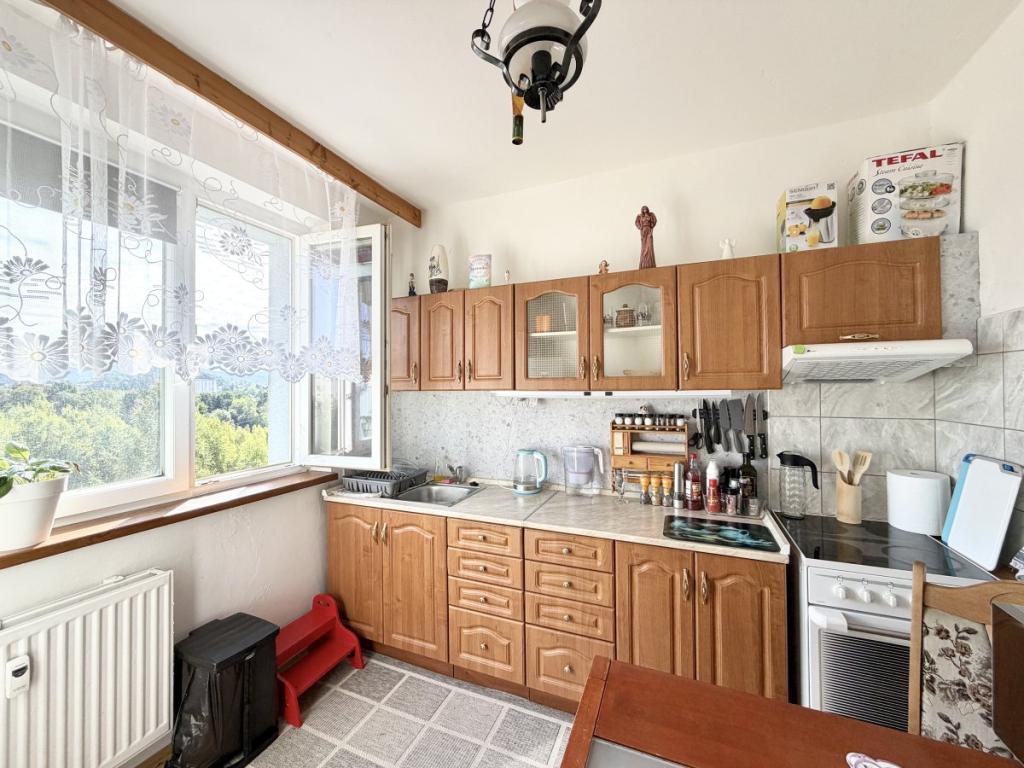 Pronájem bytu 1+1 40 m2