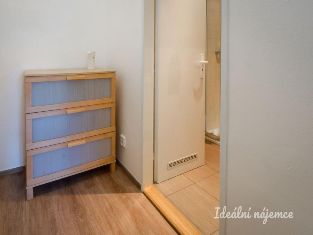 Pronájem bytu 1+kk 31 m2