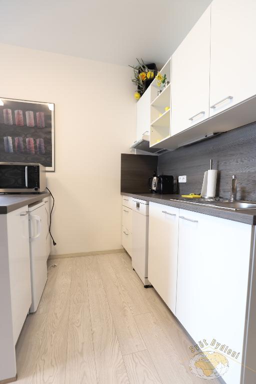 Pronájem bytu 1+kk 40 m2
