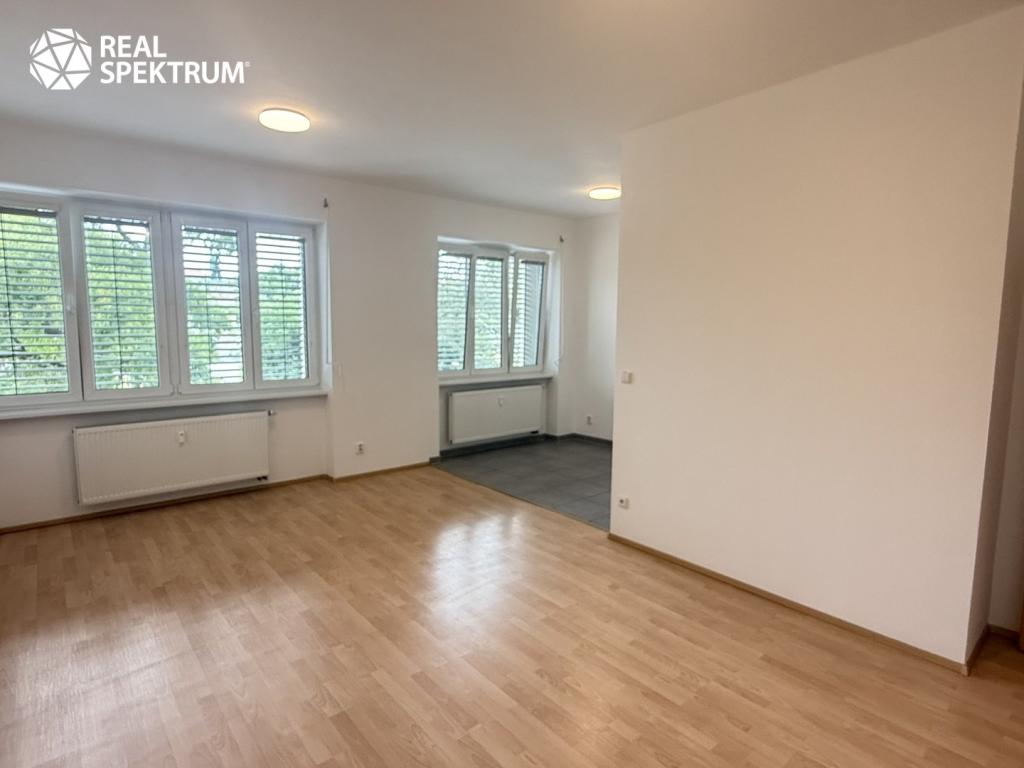 Pronájem bytu 1+kk 41 m2