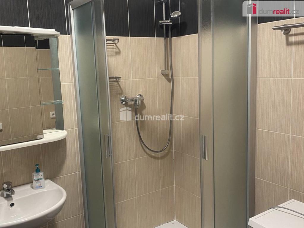 Pronájem bytu 1+kk 35 m2