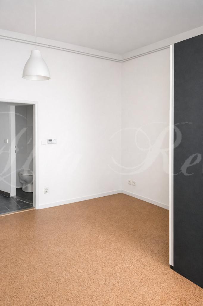 Pronájem bytu 1+1 35 m2