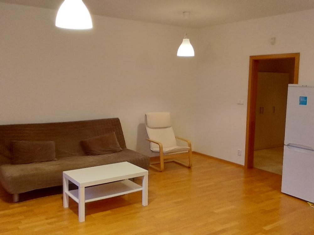 Pronajem bytu 1+kk 46 m2