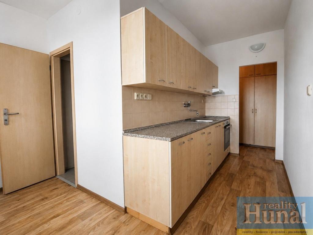 Pronájem bytu 1+1 42 m2