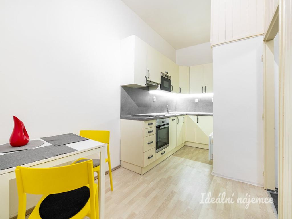 Pronájem bytu 1+1 43 m2