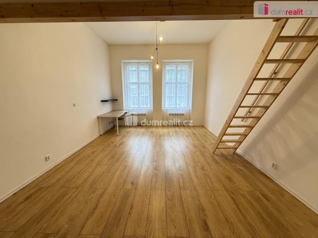 Pronájem bytu 1+kk 48 m² – pohled 4