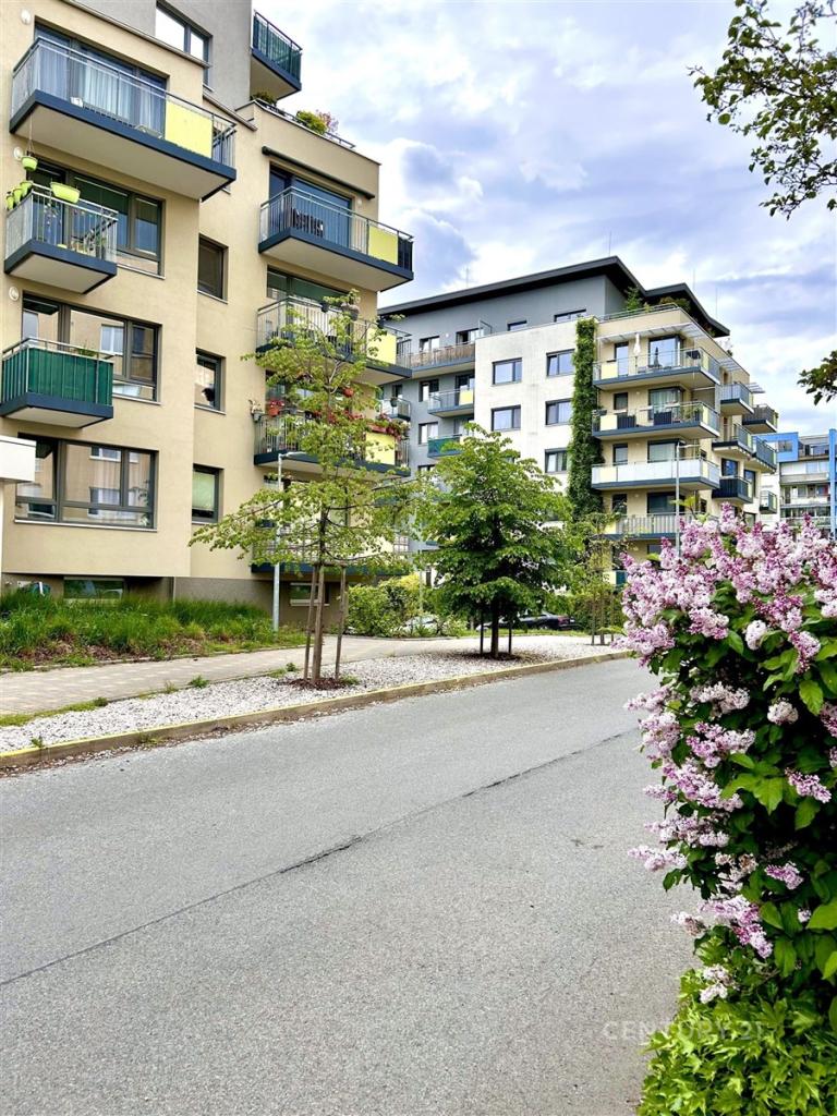 Pronájem bytu 3+kk 75 m2