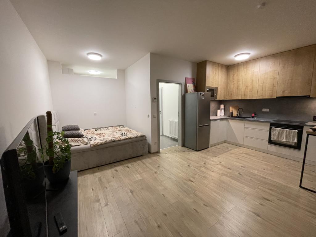 Pronájem bytu 1+kk 40 m2