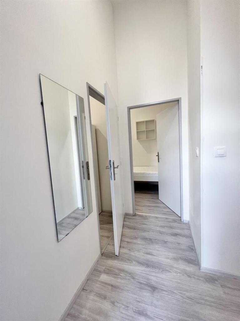 Pronájem bytu 2+1 38 m2