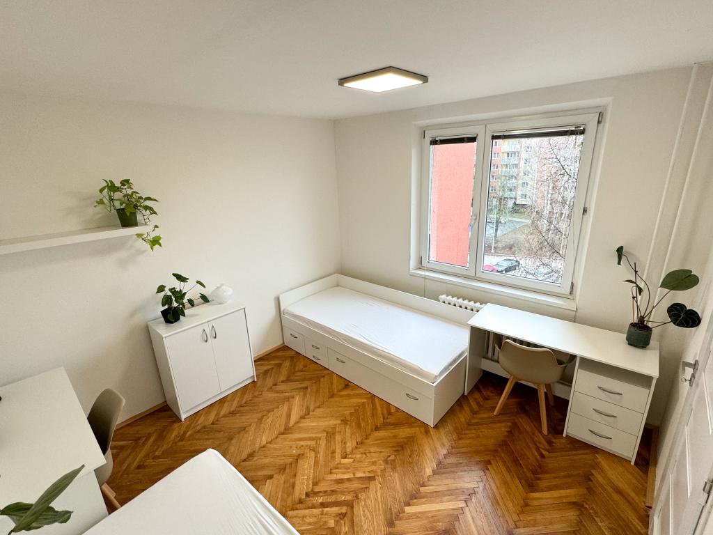 Pronajem bytu 4+kk 15 m2