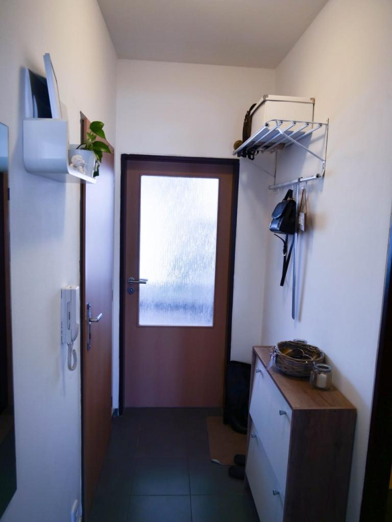 Pronájem bytu 1+1 38 m2, Brno – náhled fotky 3