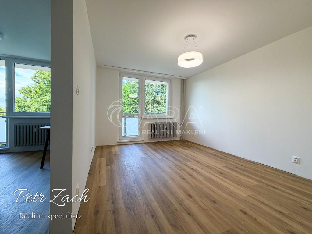 Pronájem bytu 1+1 39 m2