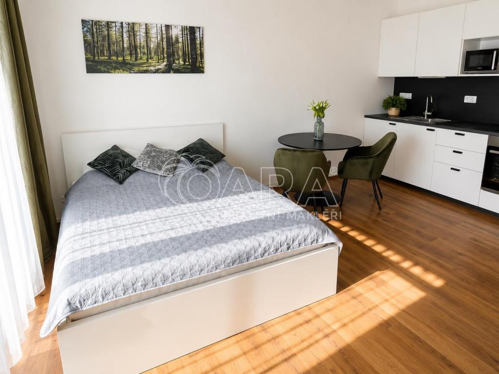 Pronájem bytu 1+kk 34 m2