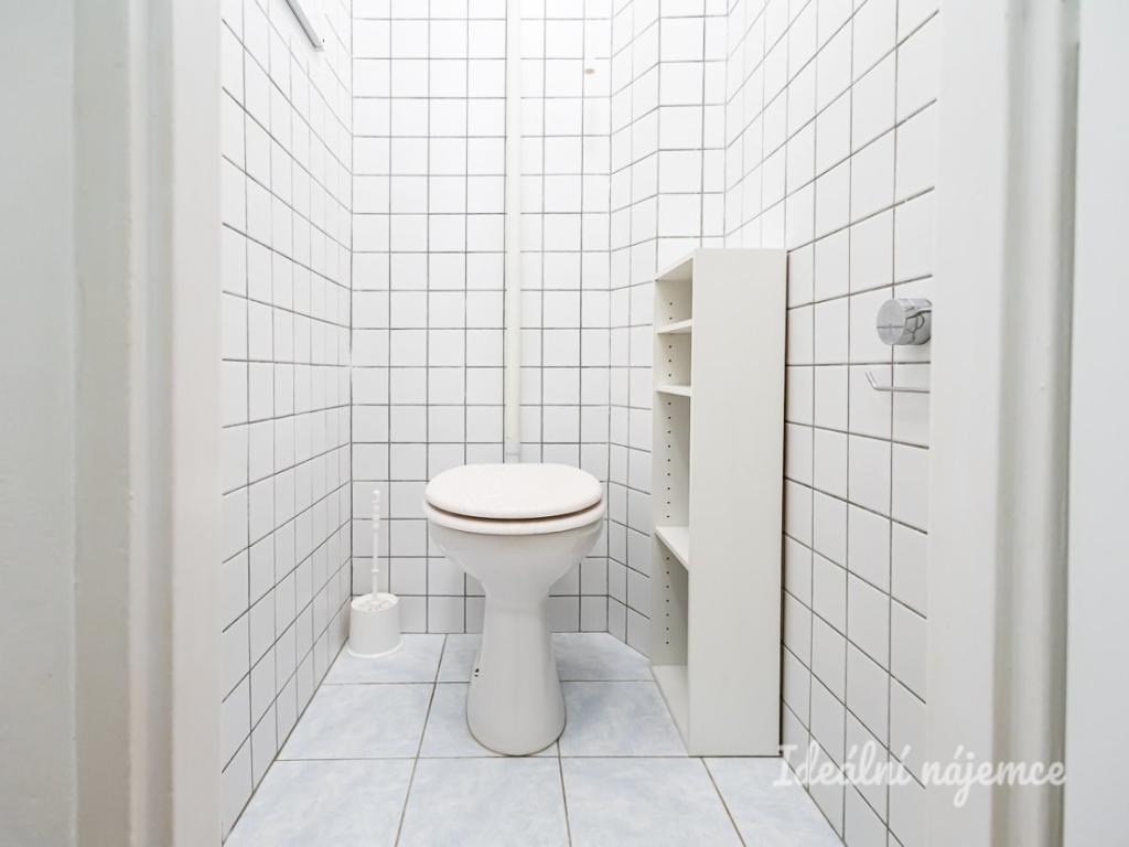 Pronájem bytu 1+kk 29 m2, Praha – náhled fotky 6