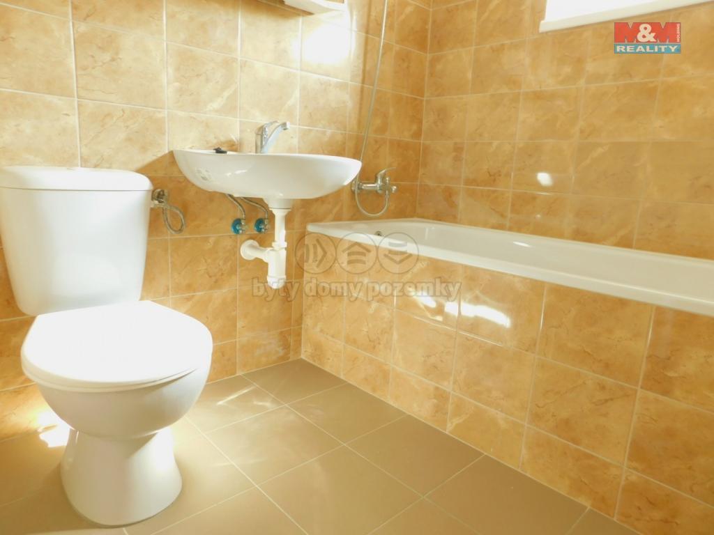 Pronajem bytu 2+1 50 m2