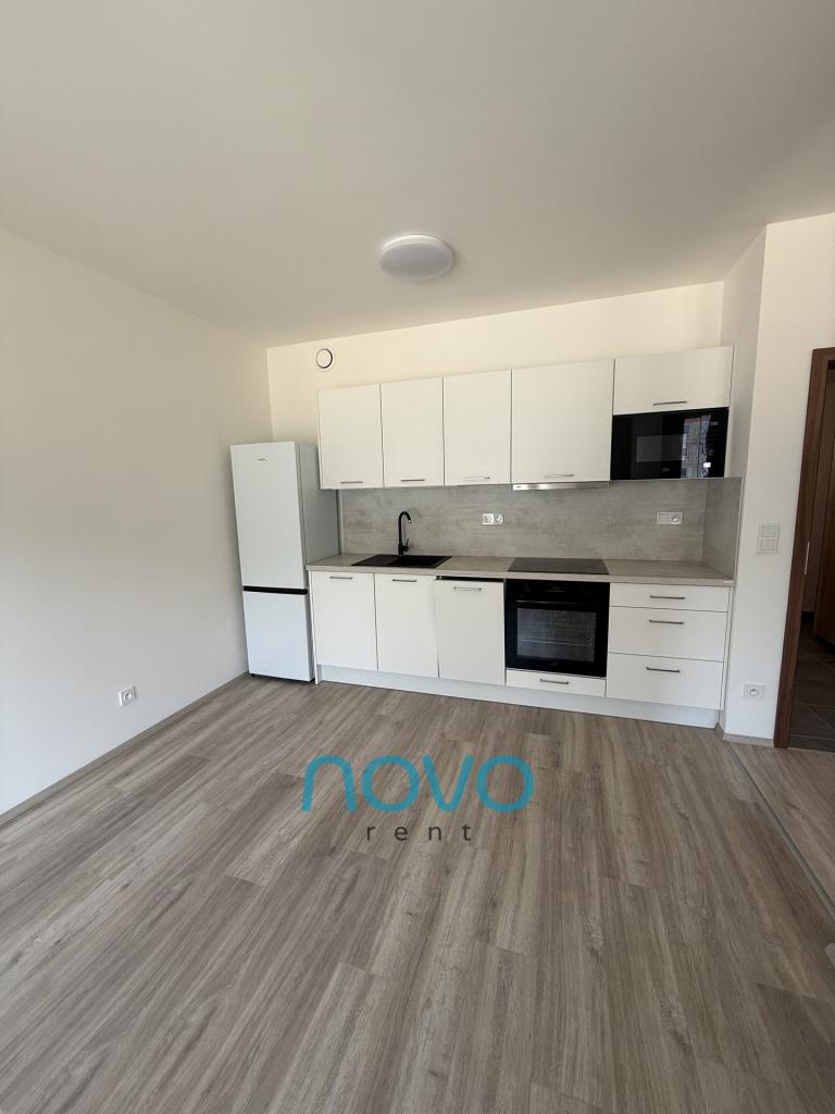 Apartment for rent 1+kk 35 m2