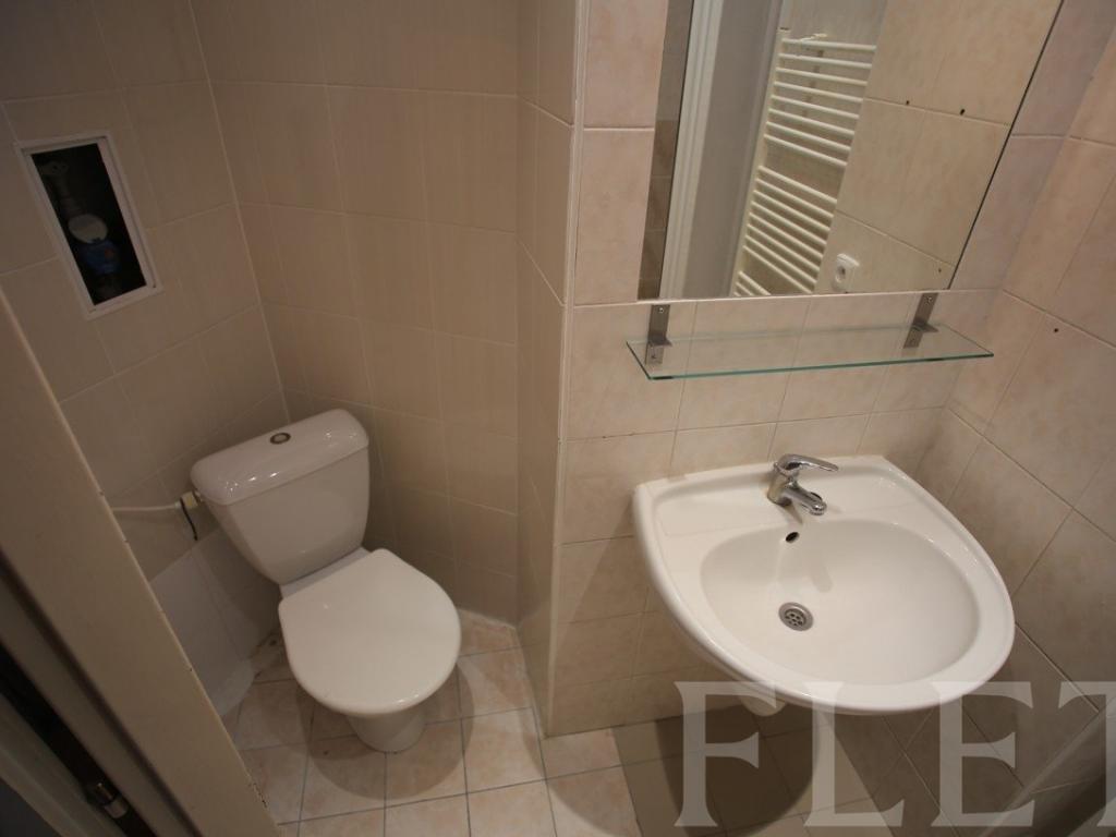 Pronájem bytu 1+1 50 m2, Praha – náhled fotky 11