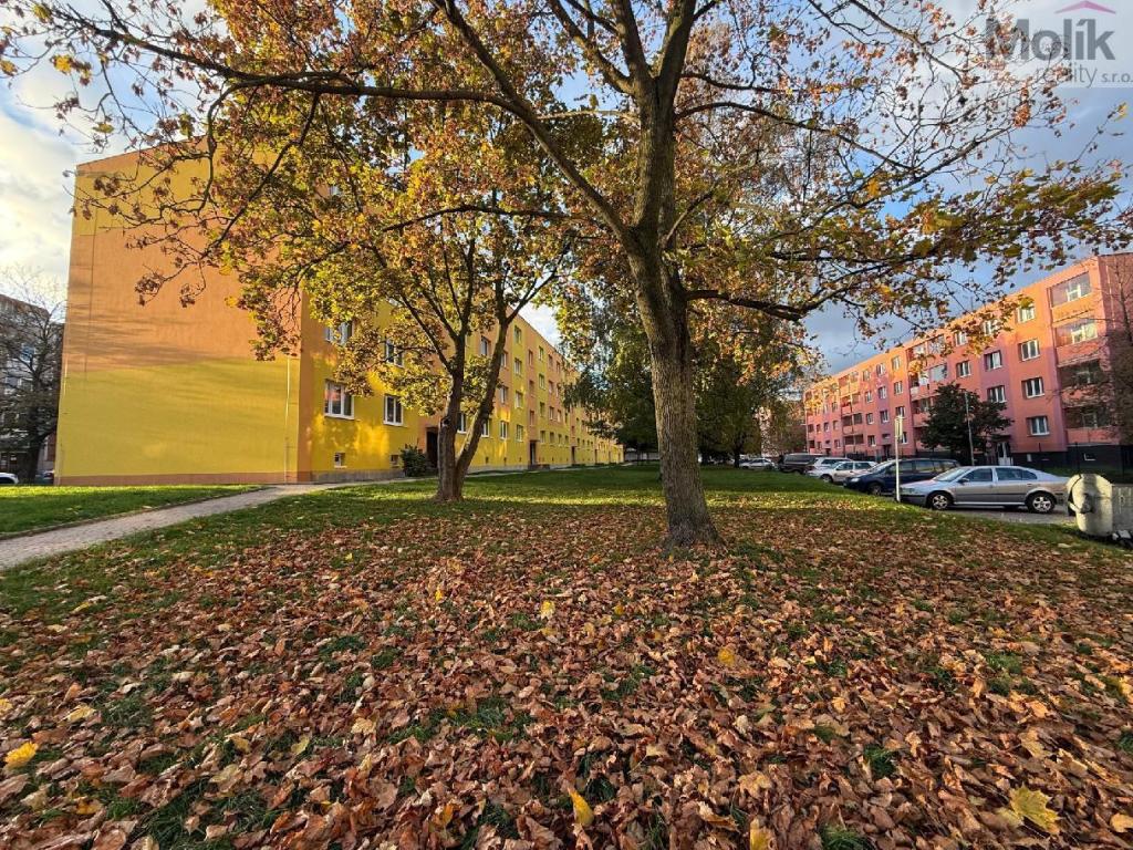 Prodej bytu 2+1 56 m2