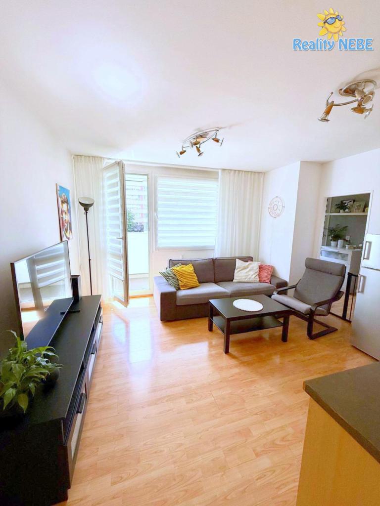 Pronájem bytu 1+1 40 m2