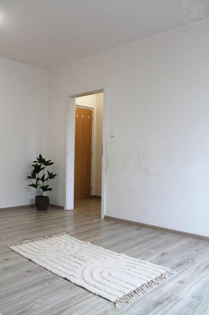 Pronájem bytu 1+1 31 m²