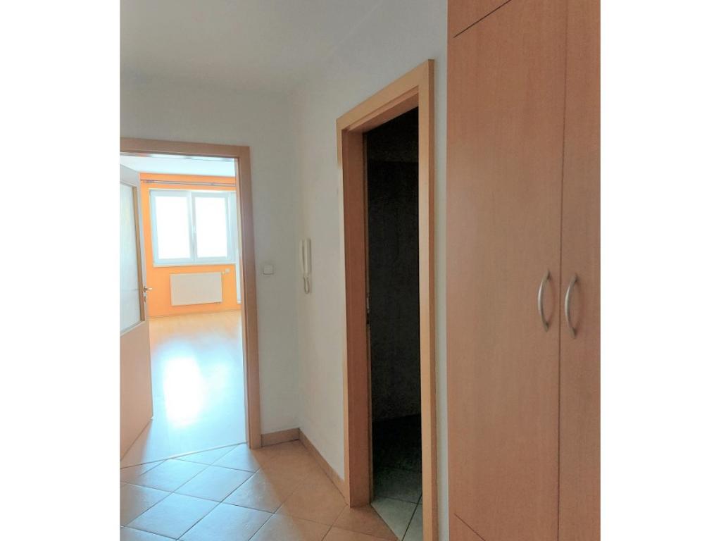 Pronajem bytu 1+kk 30 m2