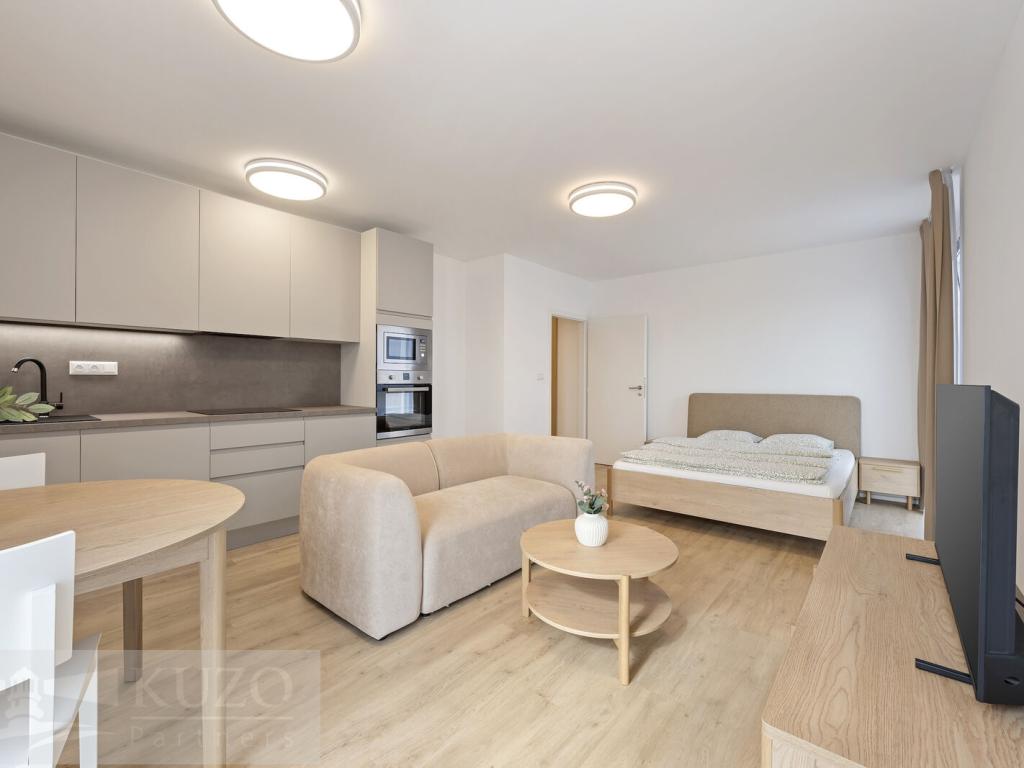 Pronájem bytu 1+kk 38 m2