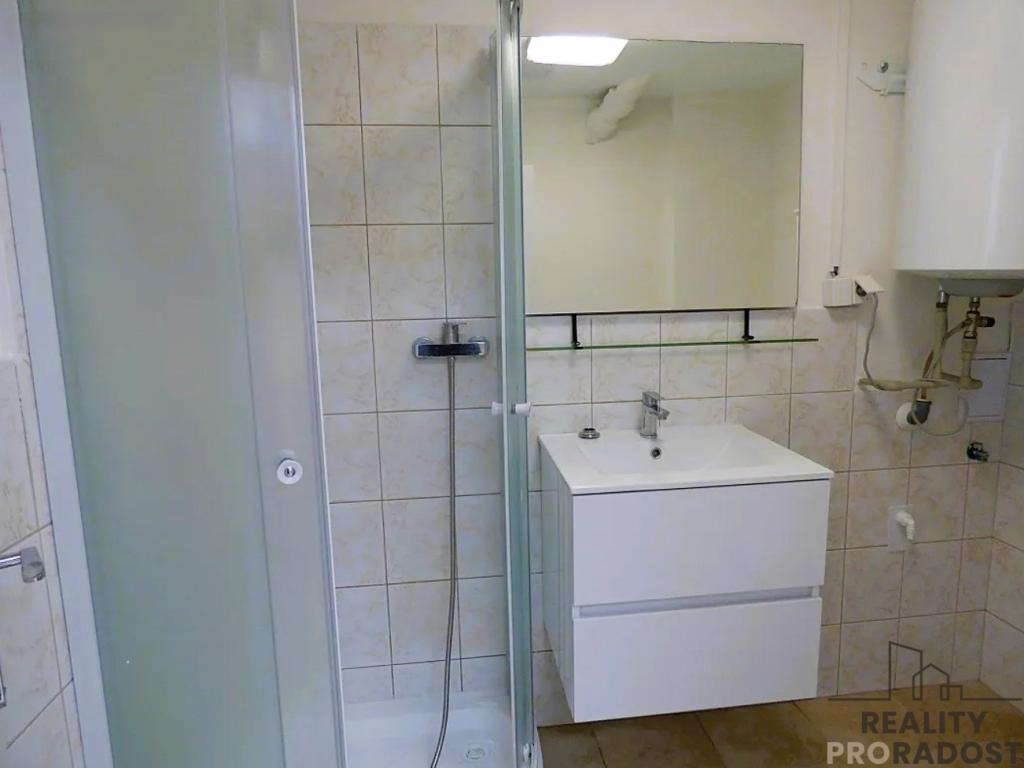 Pronájem bytu 1+1 35 m2