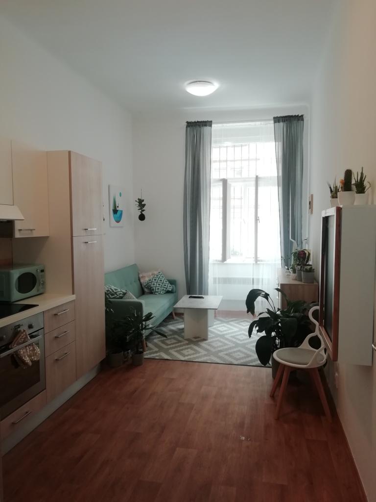 Pronajem bytu 2+kk 38 m2