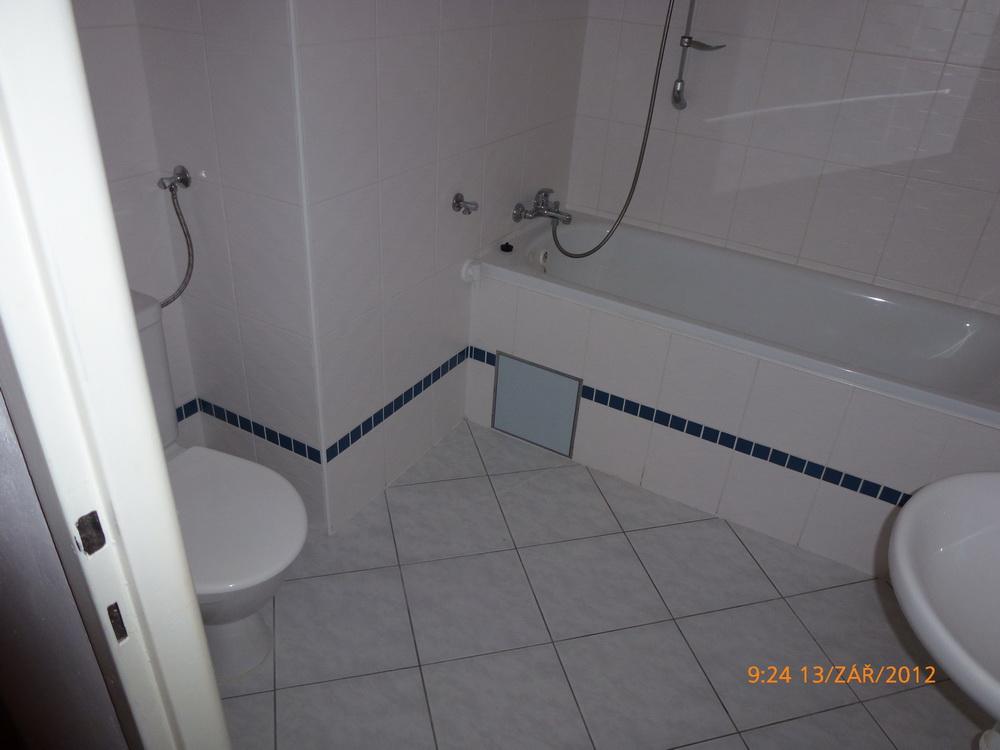 Pronájem bytu 1+kk 45 m2