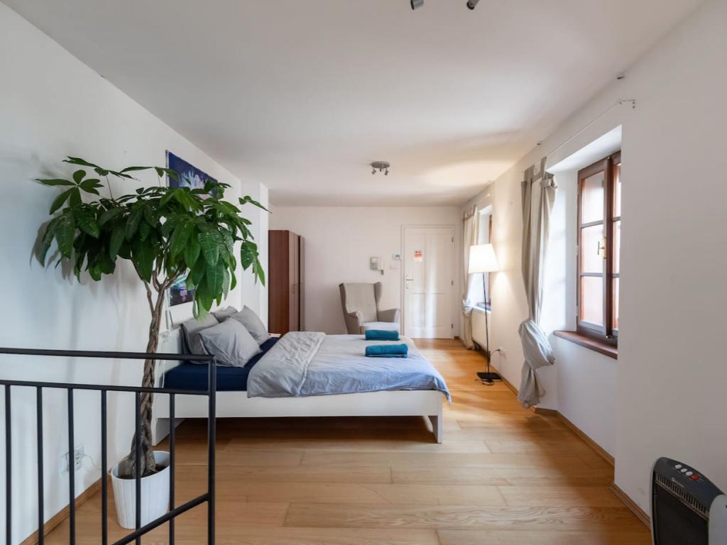 Pronajem bytu 1+1 30 m2