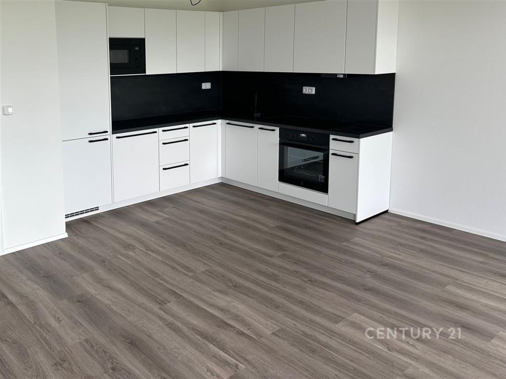 Pronájem bytu 2+kk 61 m2, Plzeň – náhled fotky 2