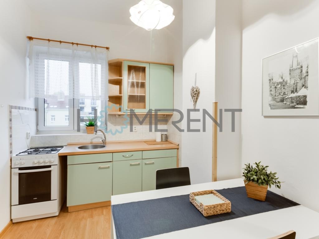 Pronájem bytu 1+1 45 m2