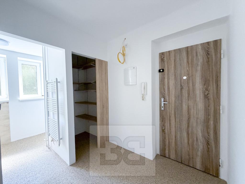 Pronájem bytu 2+1 50 m2