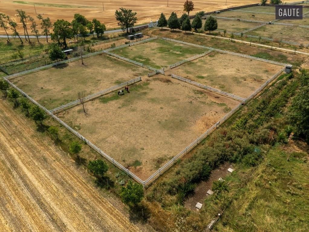 Prodej domu 5889 m2, Vlasatice – náhled fotky 8