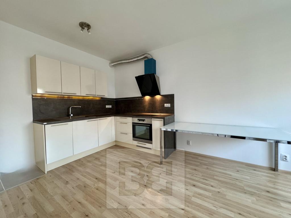 Pronájem bytu 1+kk 42 m2