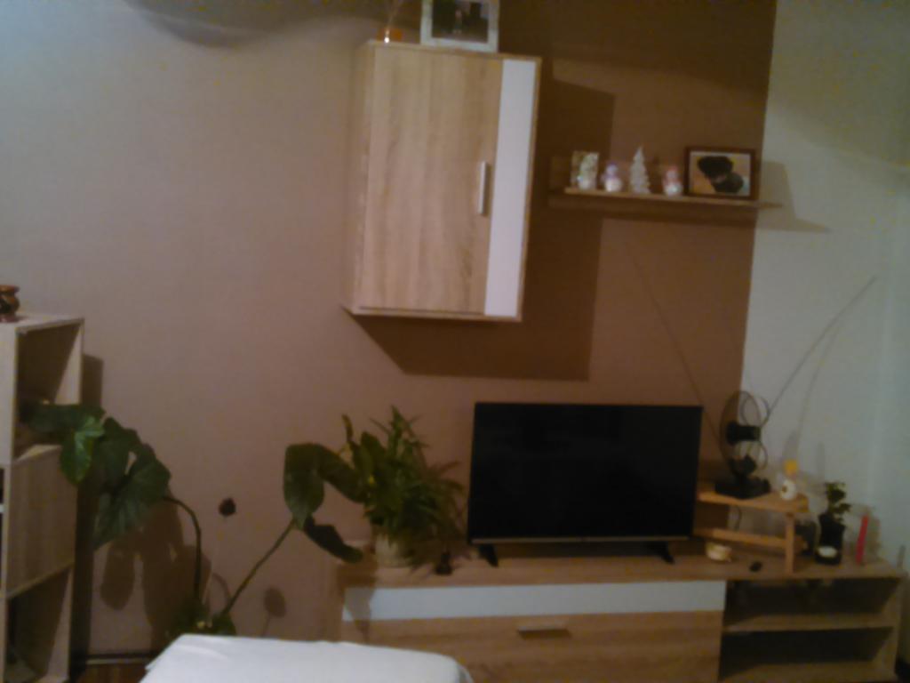 Spolubydleni bytu celý pokoj 18 m2