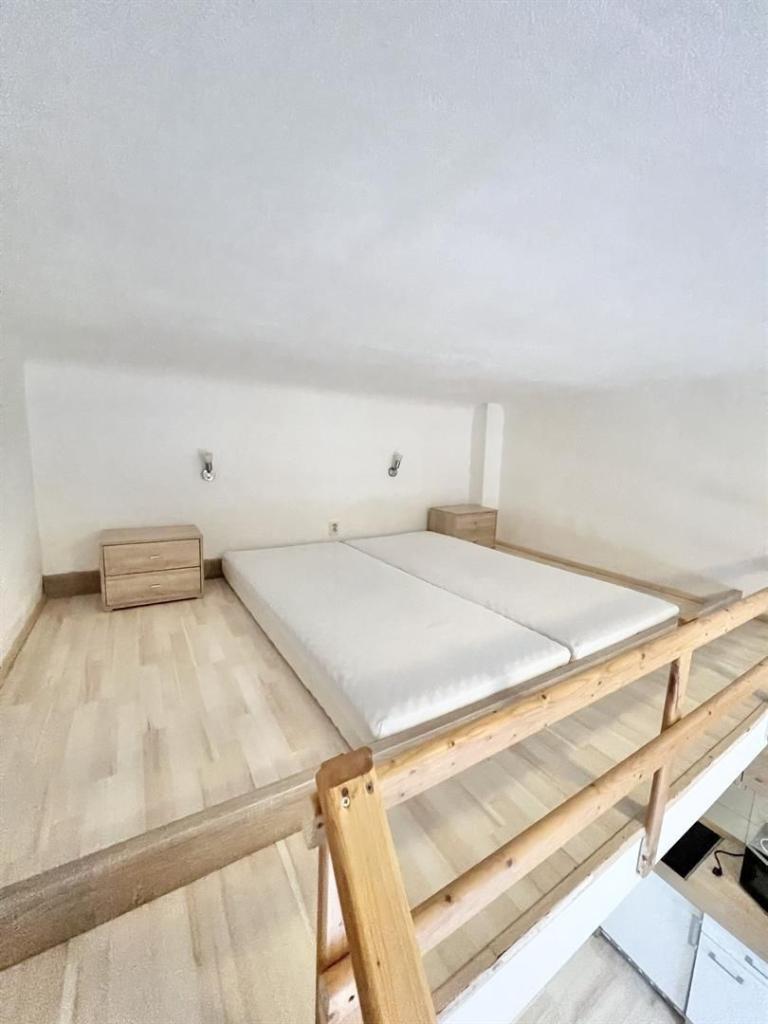 Pronájem bytu 1+kk 20 m² – pohled 4