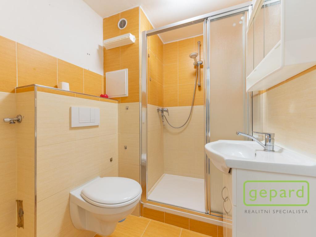 Pronájem bytu 1+1 35 m2