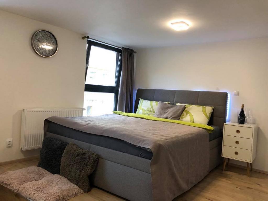 Pronajem bytu 1+kk 30 m2