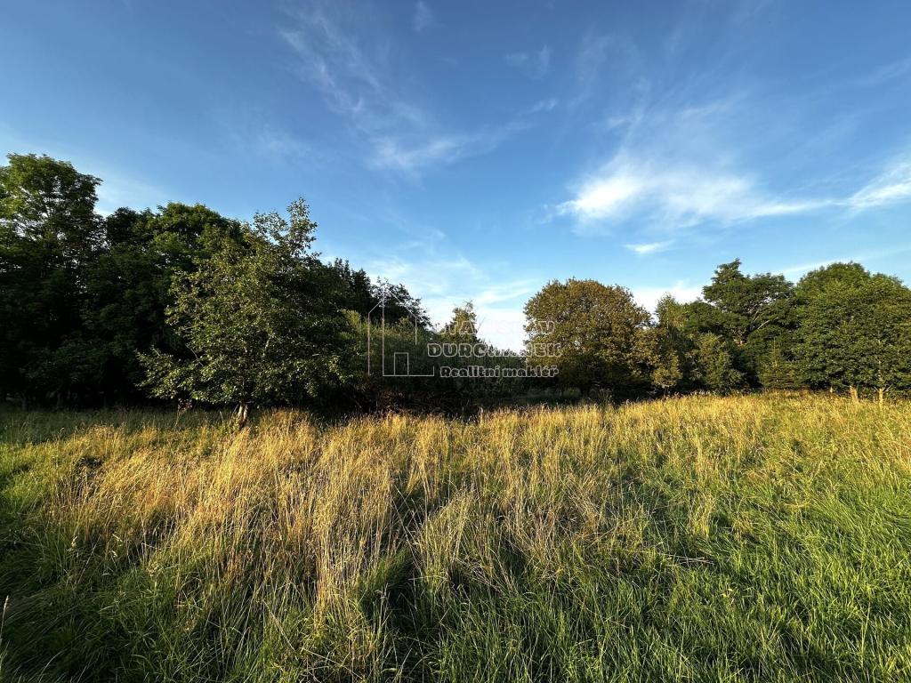 Prodej pozemku 4929 m2, Nová Ves – náhled fotky 7