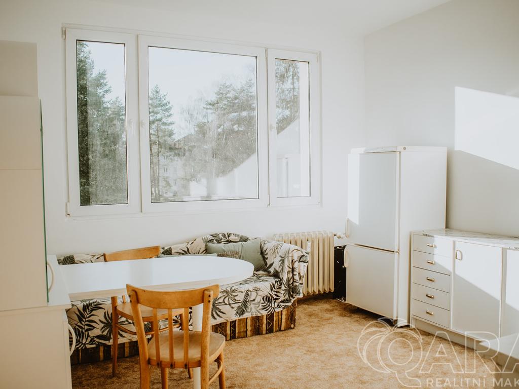 Pronájem bytu 1+1 37 m2