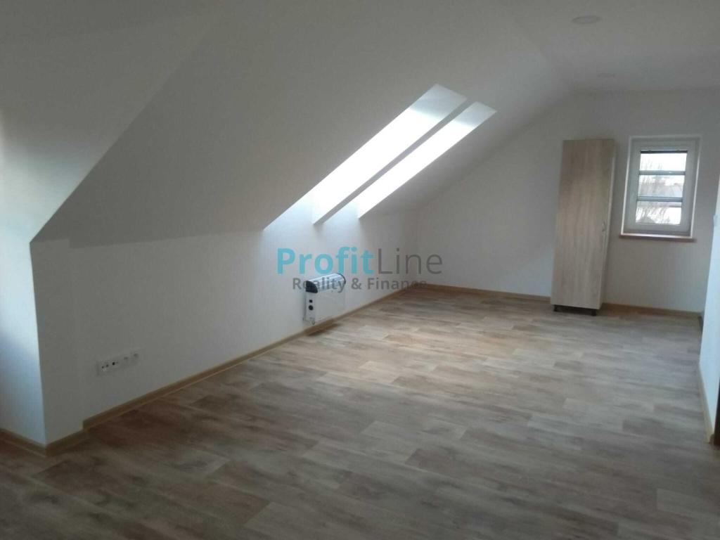 Pronájem bytu 1+kk 53 m2