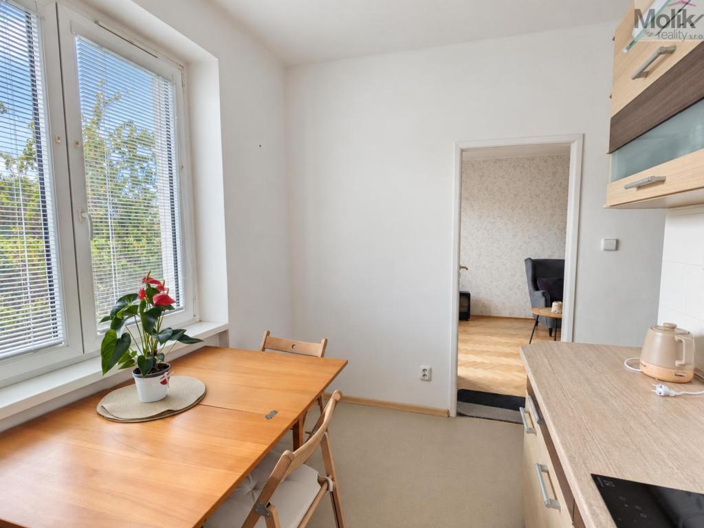 Pronájem bytu 2+1 49 m2