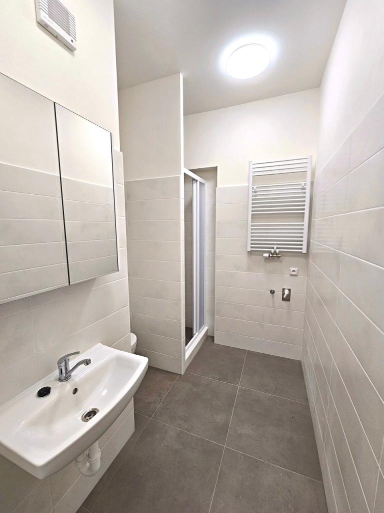 Pronájem bytu 1+1 45 m2