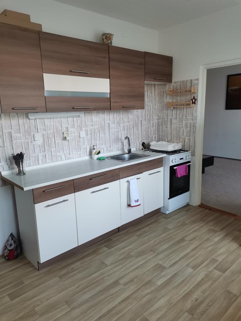 Pronájem bytu 1+1 44 m2
