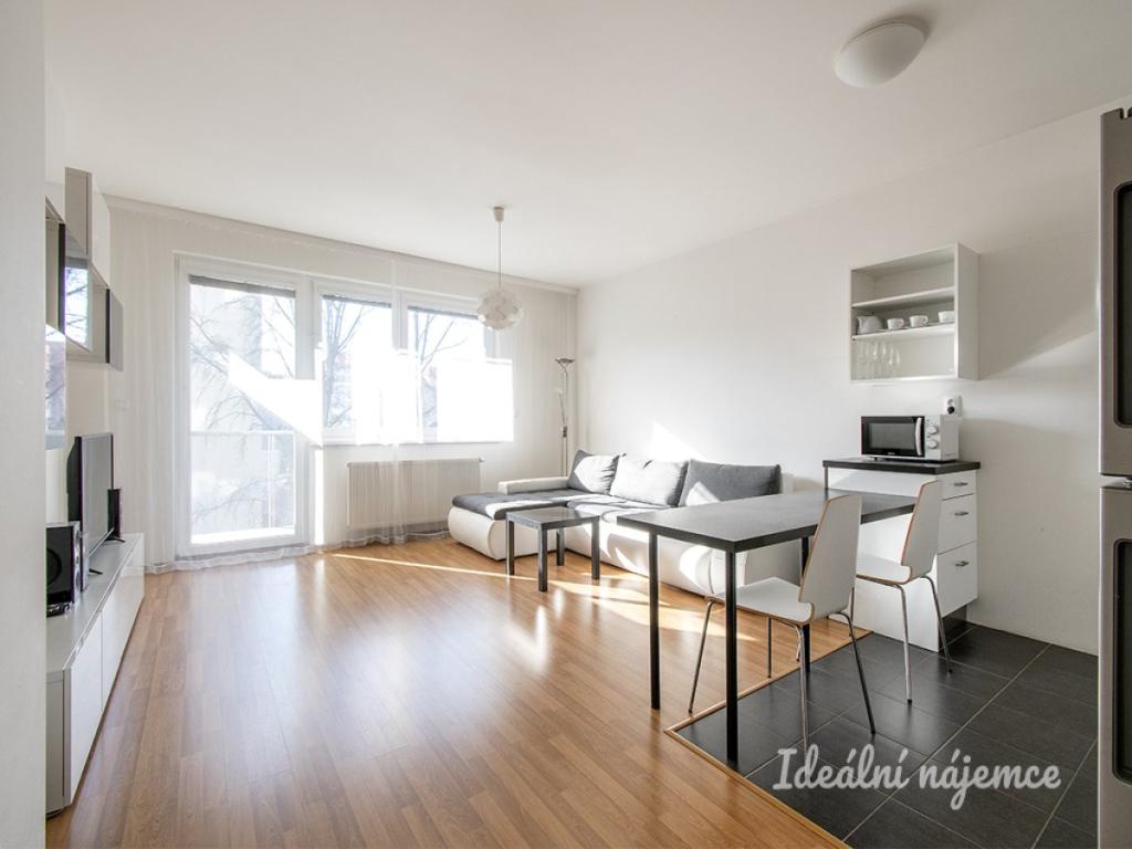 Pronájem bytu 1+kk 42 m2