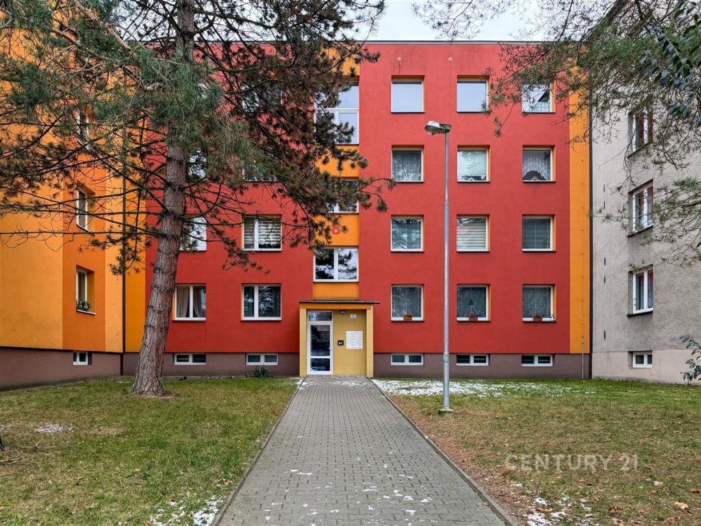 Pronájem bytu 1+1 42 m2