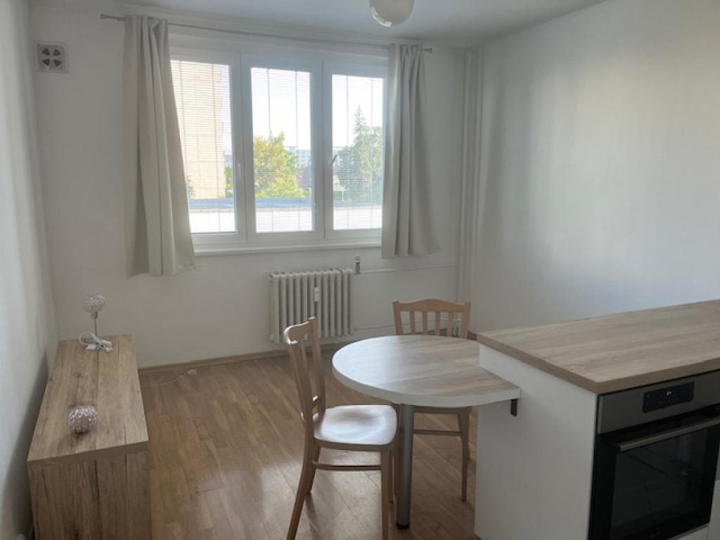 Pronájem bytu 1+1 46 m2