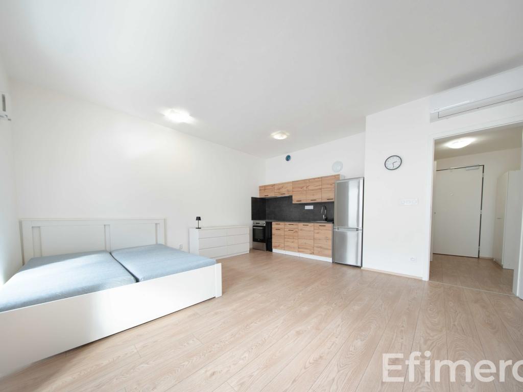 Pronájem bytu 1+kk 35 m2